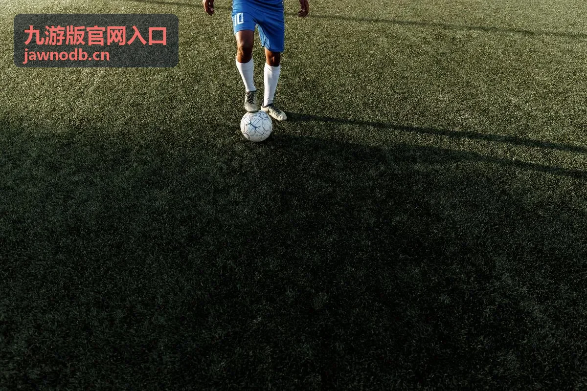 九游版官网入口使用流程与页面操作示意